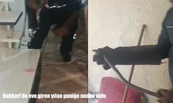 Hakkari'de eve giren yılan paniğe neden oldu