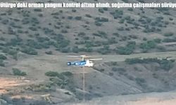 Pütürge'deki orman yangını kontrol altına alındı