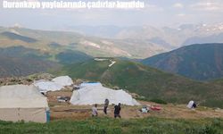 Durankaya yaylalarında çadırlar kuruldu