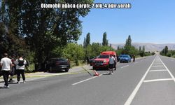 Malatya’da otomobil ağaca çarptı: 2 ölü, 4 ağır yaralı