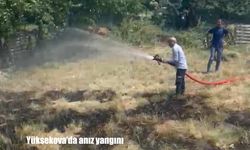 Yüksekova’da anız yangını büyümeden söndürüldü