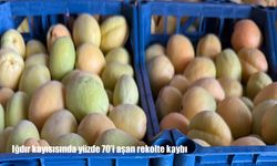 Iğdır kayısısını don vurdu: Rekolte yüzde 70'in üzerinde düştü