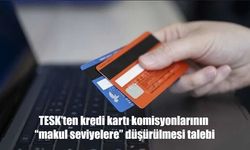 TESK'ten kredi kartı komisyonlarının "makul seviyelere" düşürülmesi talebi