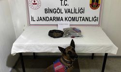 Bingöl’de haklarında kesinleşmiş hapis cezası bulunan 4 zanlı tutuklandı