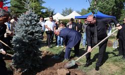 10. yılda 10 yetişkin ağaç toprakla buluştu