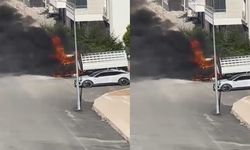 Elazığ'da pikap alev topuna döndü