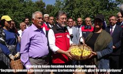 Bakan Yumaklı Malatya'da kayısı hasadına katıldı: "Geçen yılın karamsarlığı geride kaldı"