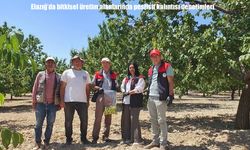 Elazığ’da bitkisel üretim alanlarında pestisit kalıntısı denetimleri