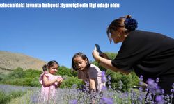 Erzincan'daki lavanta bahçesi ziyaretçilerin ilgi odağı oldu