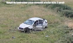 Bingöl'de otomobil araziye uçtu: 1’i bebek 3 yaralı