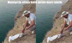 Malatya'da oltaya balık yerine martı takıldı