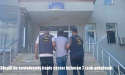 Bingöl'de kesinleşmiş hapis cezası bulunan 7 zanlı yakalandı