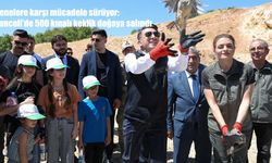 Kenelere karşı doğal mücadele: Tunceli'de 500 kınalı keklik doğaya salındı
