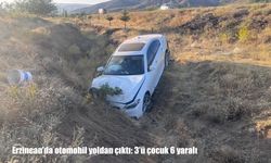 Erzincan'da otomobil yoldan çıktı: 3'ü çocuk 6 yaralı