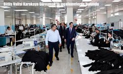 Bitlis Valisi Karakaya Güroymak'ta incelemelerde bulundu