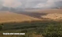 Elazığ’da otluk alanda çıkan yangın söndürüldü