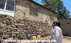 Yüksekova'da yılan kabusu: Bir aile yıllardır evine girmeye korkuyor
