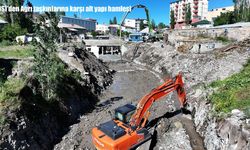 DSİ'den Ağrı taşkınlarına karşı alt yapı hamlesi