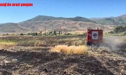 Elazığ’da arazi yangını söndürüldü