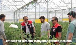 Erzincan'da seracılık üretimine yakın takip