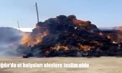 Iğdır'da ot balyaları alevlere teslim oldu