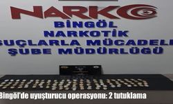 Bingöl'de uyuşturucu operasyonu: 2 tutuklama