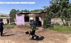 Van'da korkutan odunluk yangını