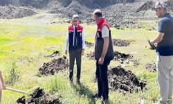 Palandöken’de 2 bin 500 rakımda yeşil kalkan