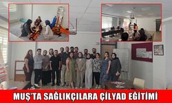 Muş’ta sağlıkçılara "Çocuklarda İleri Yaşam Desteği" eğitimi