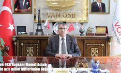 Van OSB Başkanı Memet Aslan: "Bu aziz millet küllerinden doğarak yeni bir tarih yazmıştır"