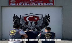 Iğdır'da uyuşturucu suçundan aranan firari yakalandı
