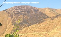 Elazığ'da dağlık alanda çıkan yangın 15 saatte söndürüldü
