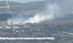 Muğla'da orman yangını: Ekipler havadan ve karadan müdahale ediyor