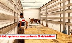 24 ilde zehir tacirlerine operasyon: 80 kişi tutuklandı