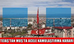 TEİAŞ'tan Muş’ta acele kamulaştırma kararı