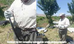 Batman’da bir vatandaş yakaladığı yılanı doğaya bıraktı