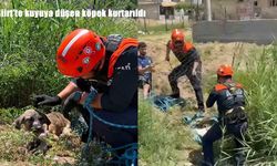 Siirt’te kuyuya düşen köpek kurtarıldı