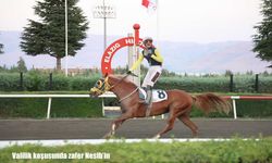 Valilik koşusunda zafer Nesib’in