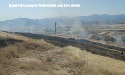 Elazığ’daki yangında 40 dönümlük arpa küle döndü