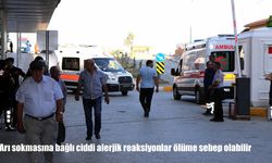 Uzman uyardı: Arı alerjisi saniyeler içinde hayati tehlikeye yol açabilir