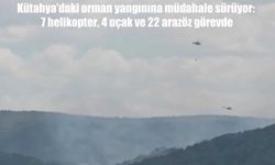 Kütahya'daki orman yangını: Havadan ve karadan yoğun müdahale