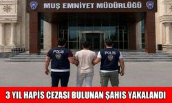 Muş’ta 3 yıl hapis cezası bulunan hırsızlık hükümlüsü yakalandı