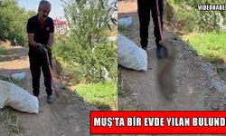 Muş’ta evde yılan paniği: Ekipler harekete geçti