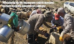 Yüksekova'da şarbon alarmına karşı aşılama seferberliği