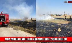 Muş’ta anız yangını paniği!