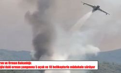 Muğla’da orman yangını büyüyor: Seydikemer Devlet Hastanesi tahliye ediliyor