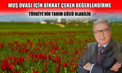 Yazar Talha Apak: Muş, çok daha yüksek katma değer üretebilir