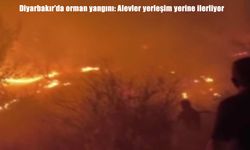 Diyarbakır'da korkutan orman yangını: Alevler yerleşim yerlerine dayandı