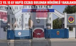 Muş’ta firari hükümlü operasyonu: Saklandığı adreste yakalandı!