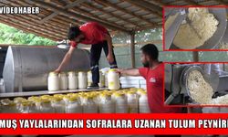Muş’un yaylalarından sofralara uzanan 60 yıllık lezzet
